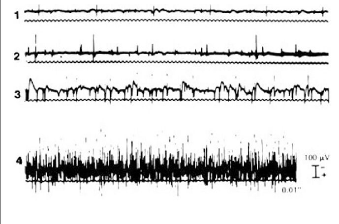 67238708752bf.jpg#s-689,456