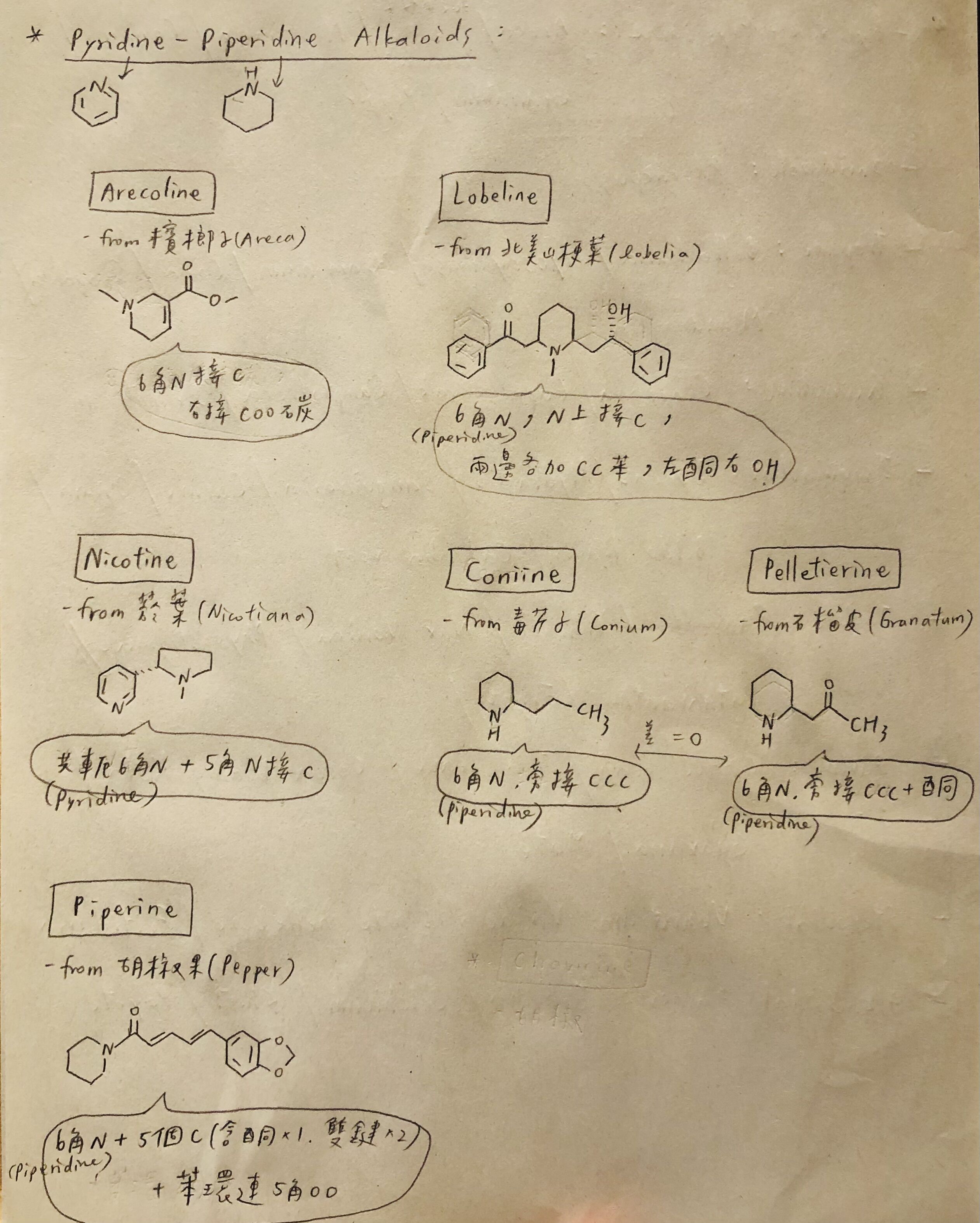 672f167878447.jpg#s-2523,3148