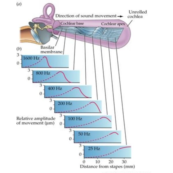 674834380a6fe.jpg#s-600,600