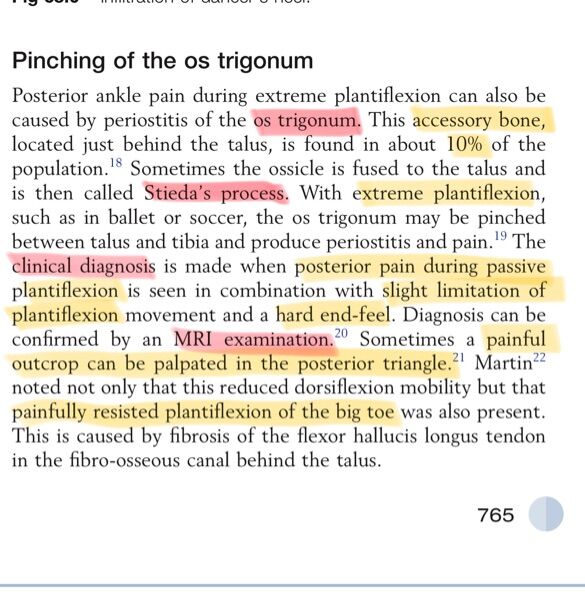 67723840764ce.jpg#s-585,600