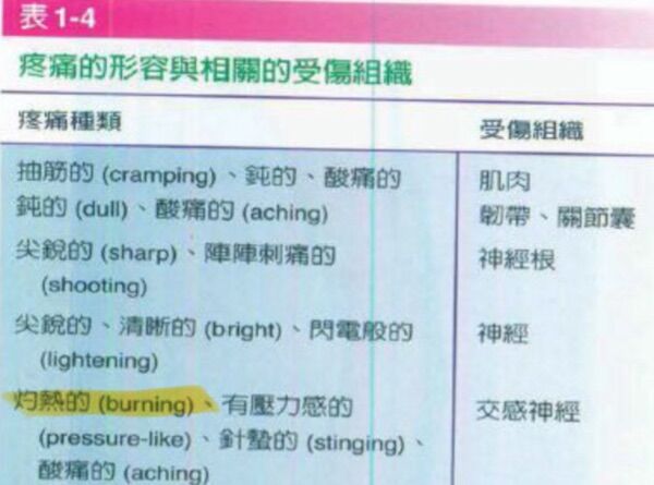 677b4acc22ce0.jpg#s-600,445