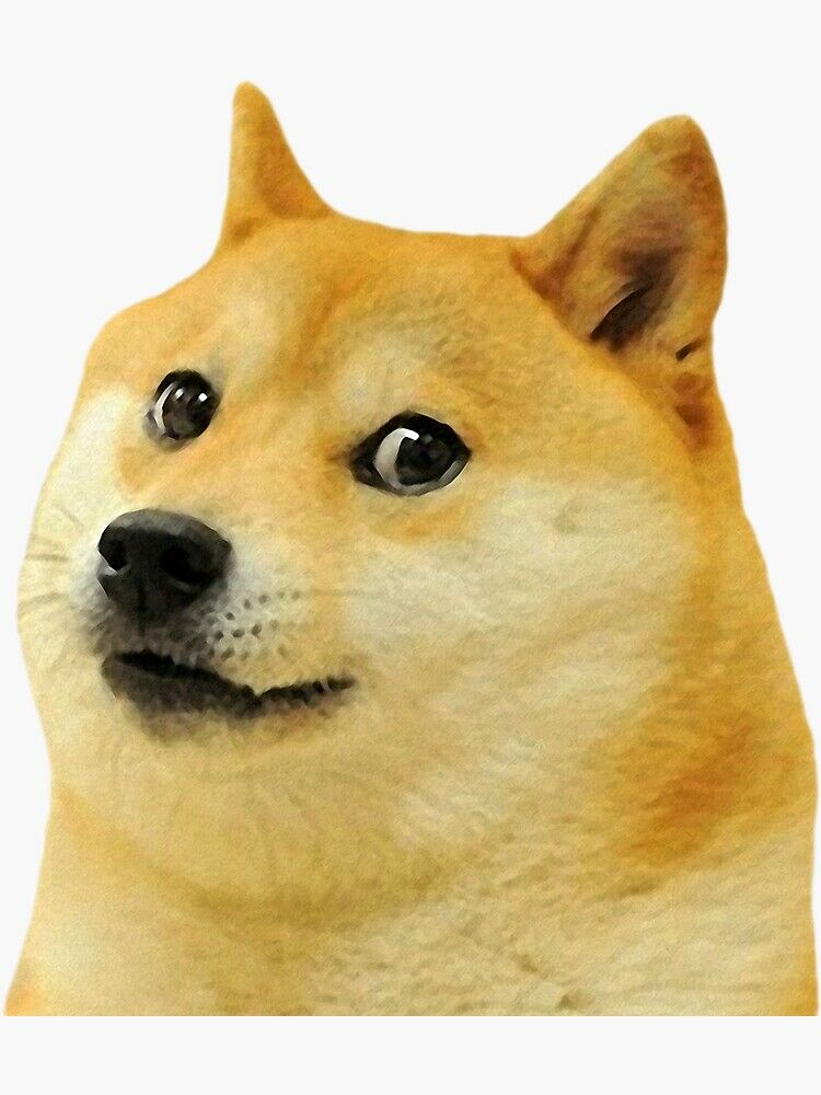 Radiology Doge