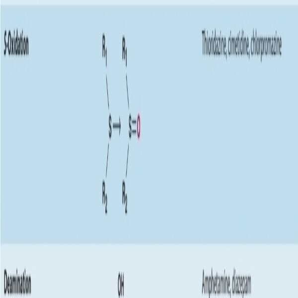 67faa36092251.jpg