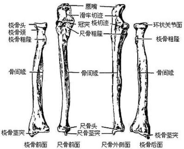 68088df9a6470.jpg