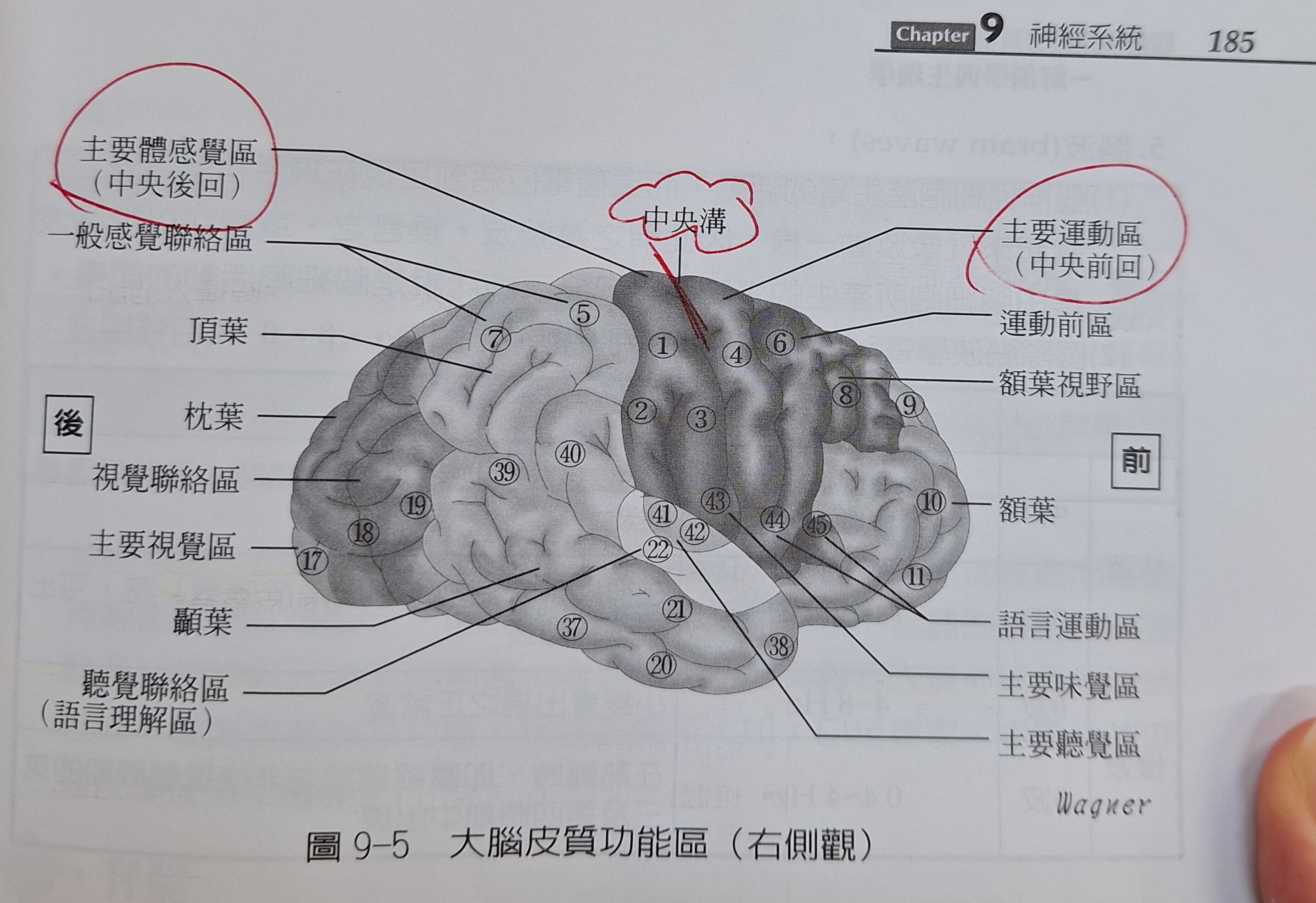68651011d037f.jpg