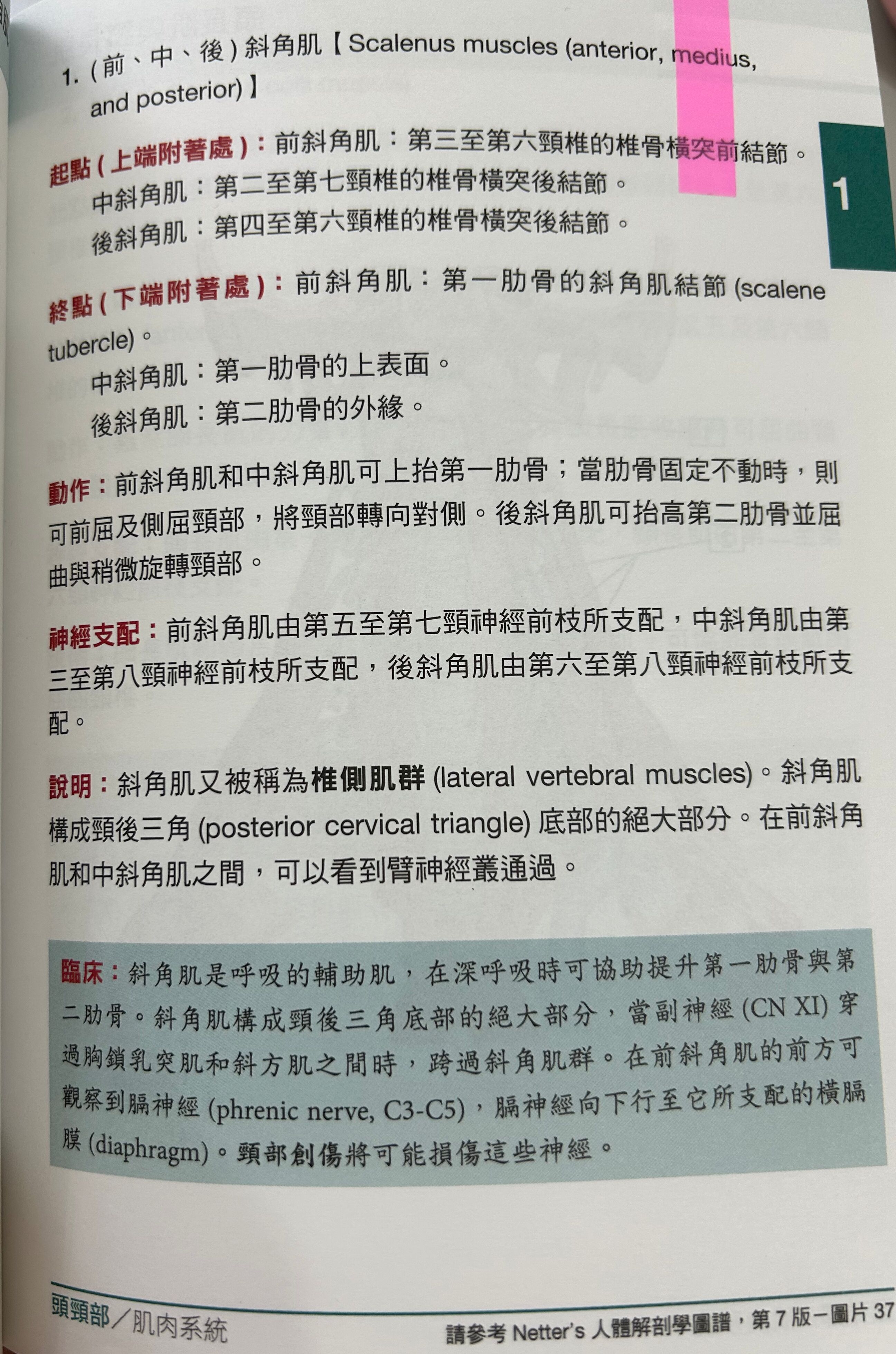 112 年- 112-1 專技高考_物理治療師：骨科疾病物理治療學113139-阿摩線上測驗