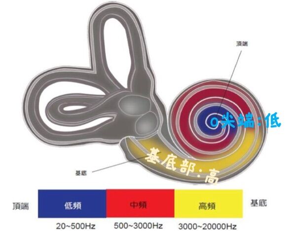 686bcd8029edc.jpg