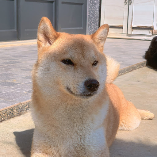 胡蕎伊