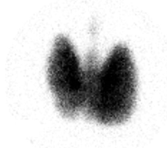 68a086c5537fc.jpg