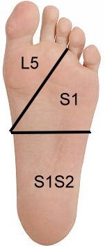 68e1e397384e6.jpg