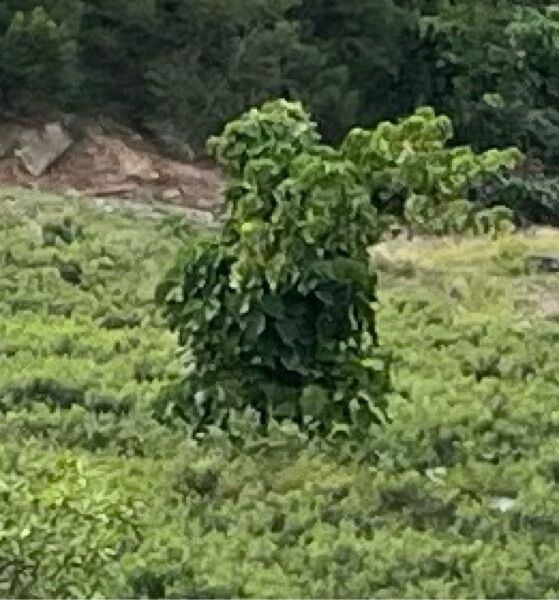 告訴自己下一次就考上了