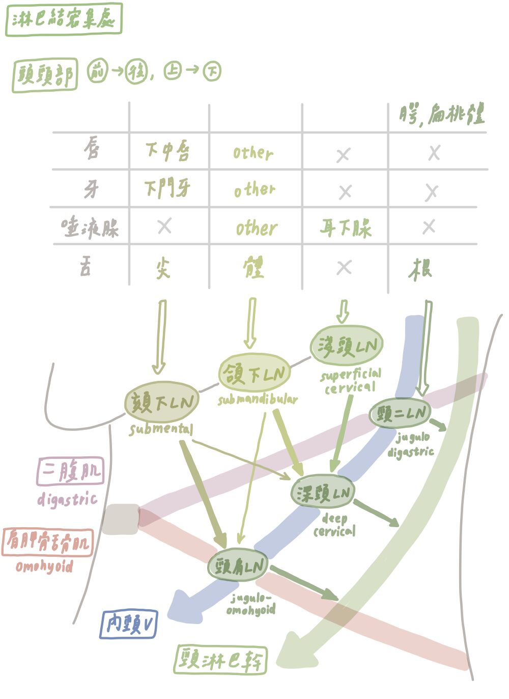 6923d10622fad.jpg