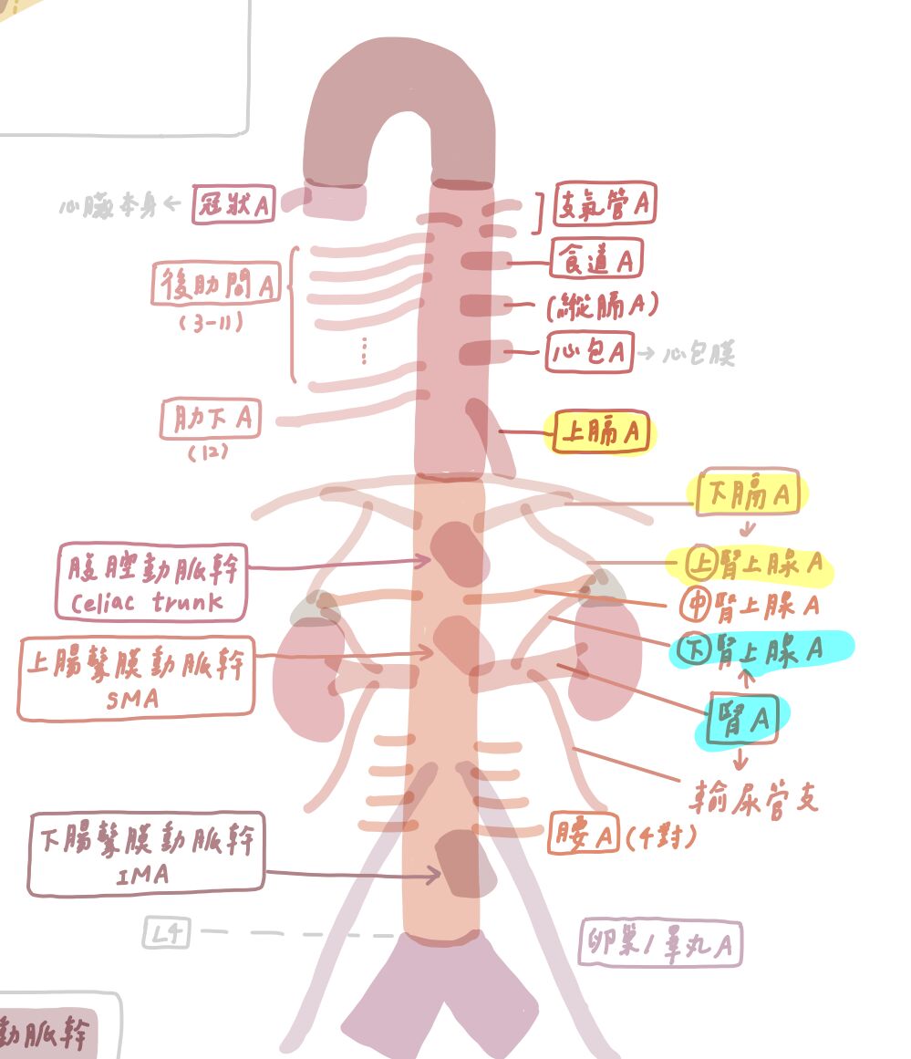 6958a42be1e2d.jpg
