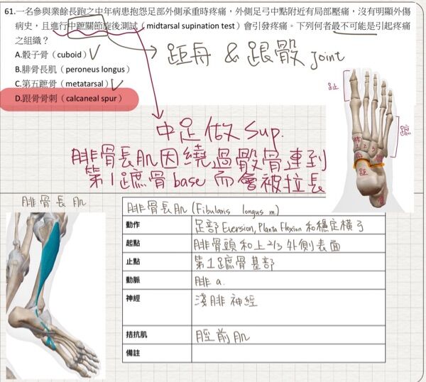 6975cad19a2ca.jpg