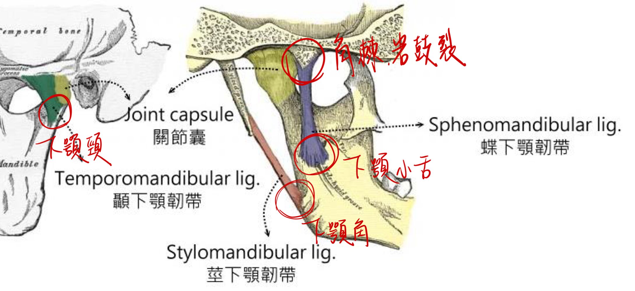 6979d06ad7f2d.jpg