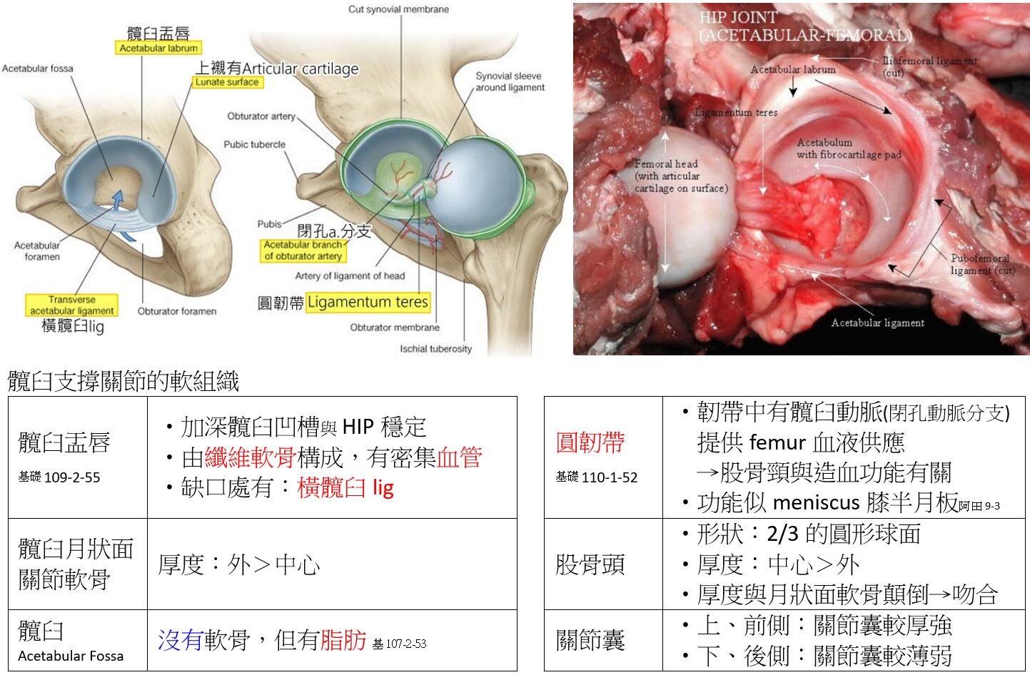 69834ad930cdc.jpg