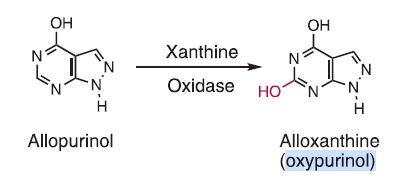 69904b93e323d.jpg