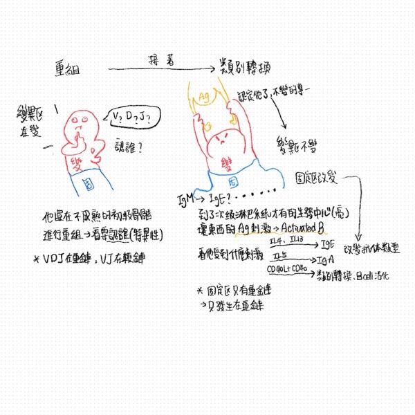 69a3e40db3b90.jpg