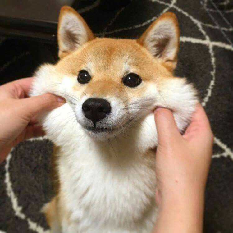 我會通過教檢ღ