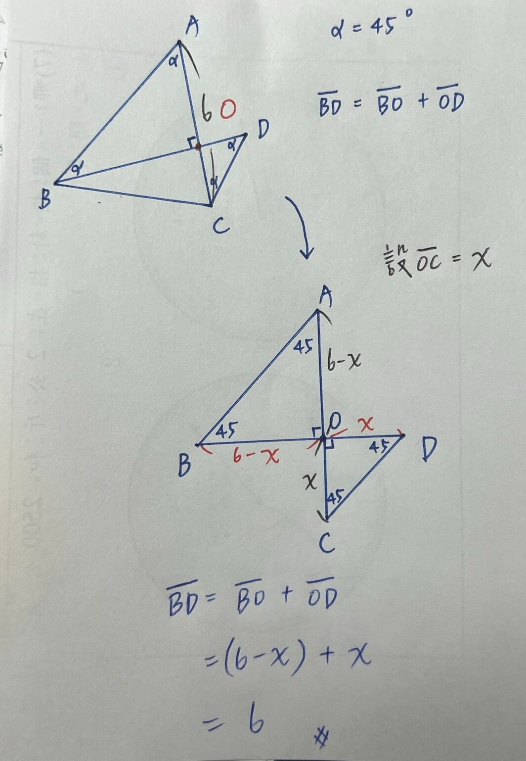 69f2f5d1d2427.jpg