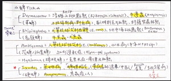 69f586c72f74d.jpg