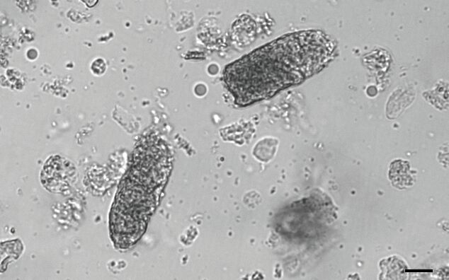 69f6c8948427d.jpg