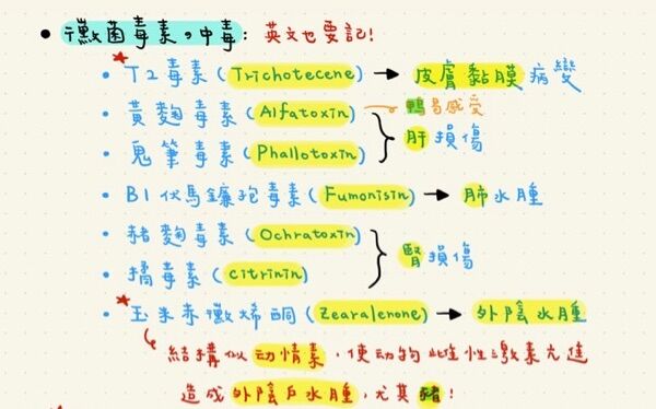 69f6e5d6eca69.jpg
