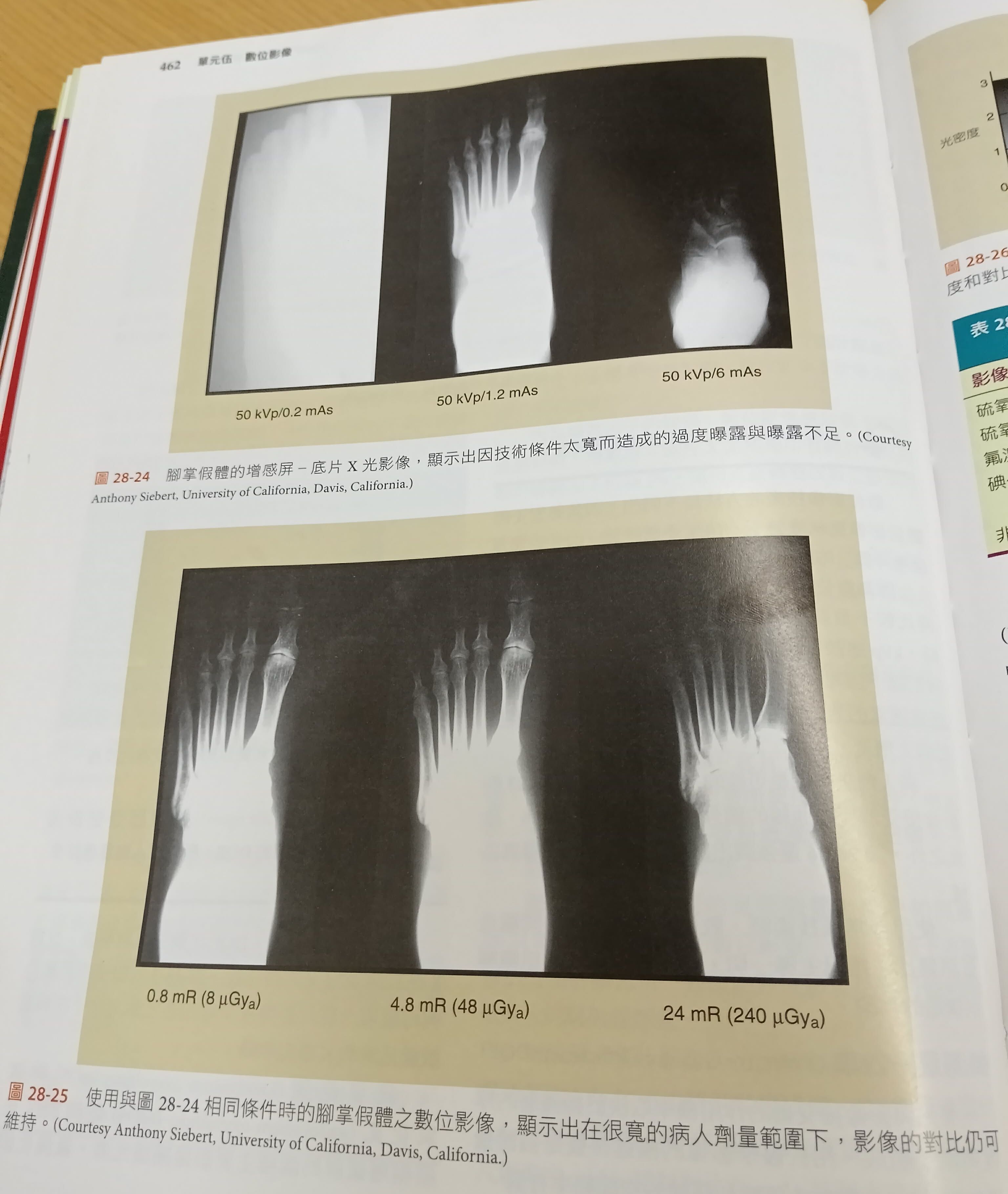 69fb425d94dae.jpg