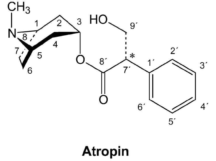 6a01d5b9658f9.jpg