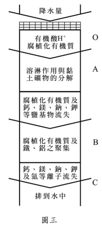 6a0466ebdc3ed.jpg