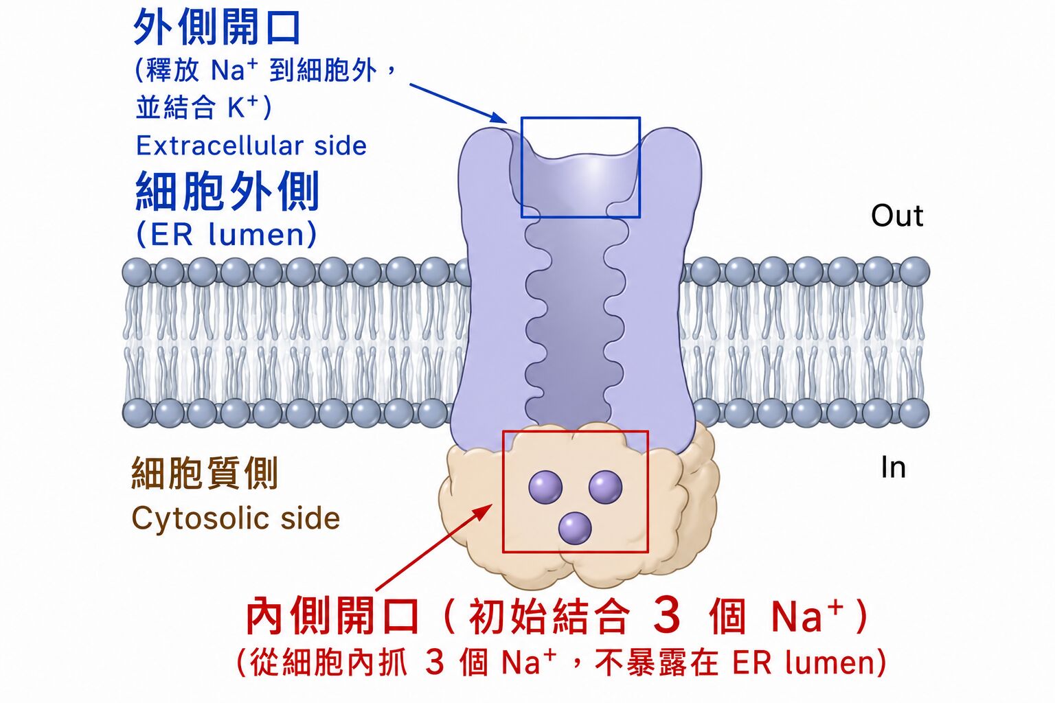6a061def285c2.jpg