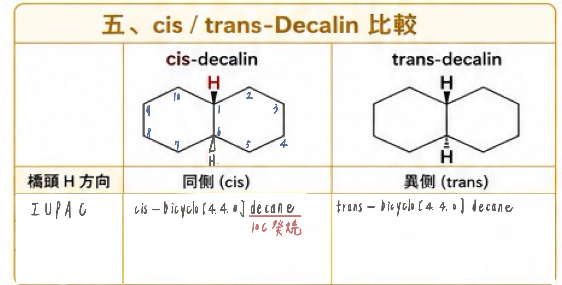 6a069eb8e60ab.jpg