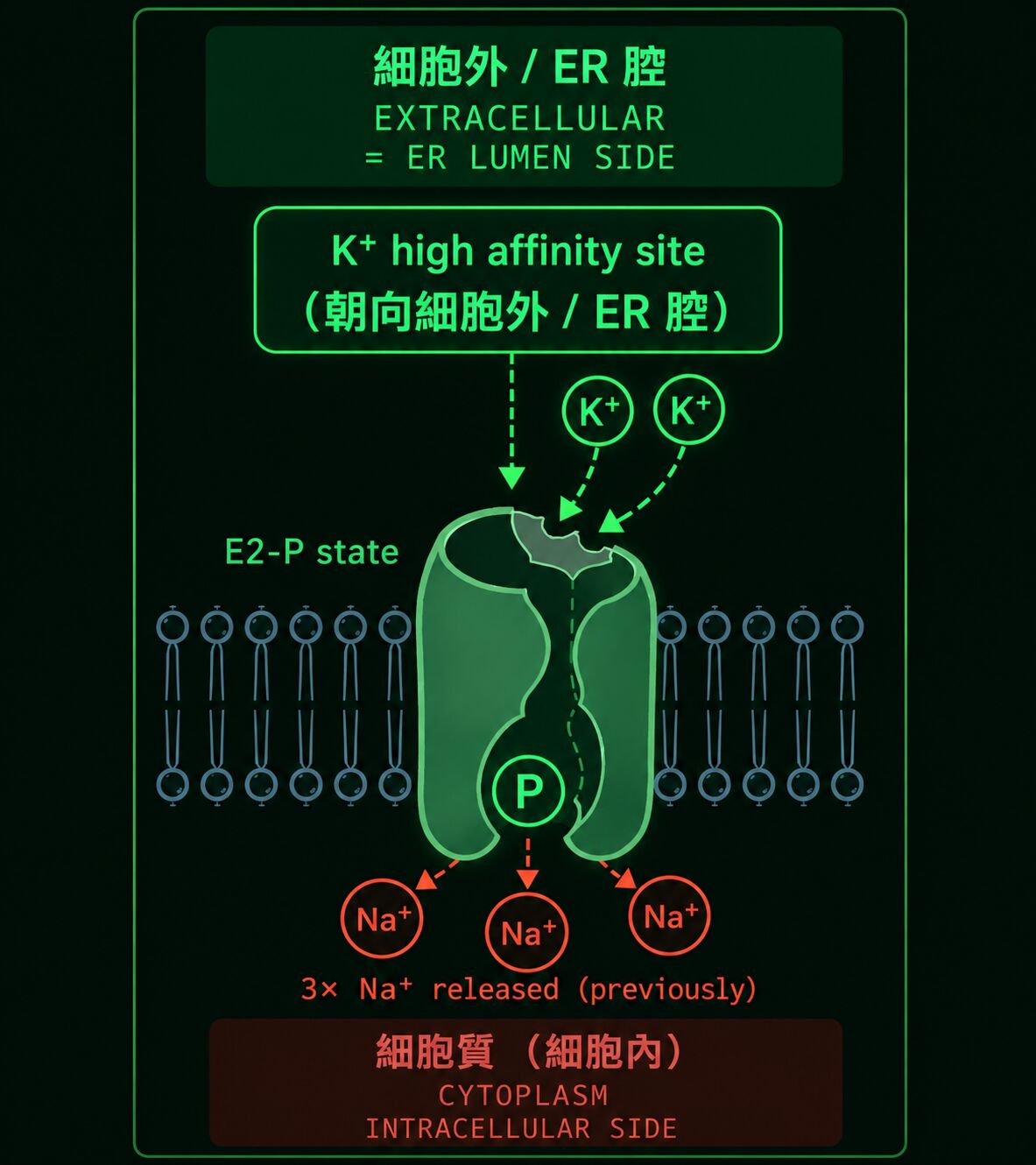 6a06a1740d45a.jpg