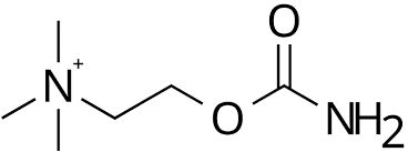 6a08275d7c0d1.jpg
