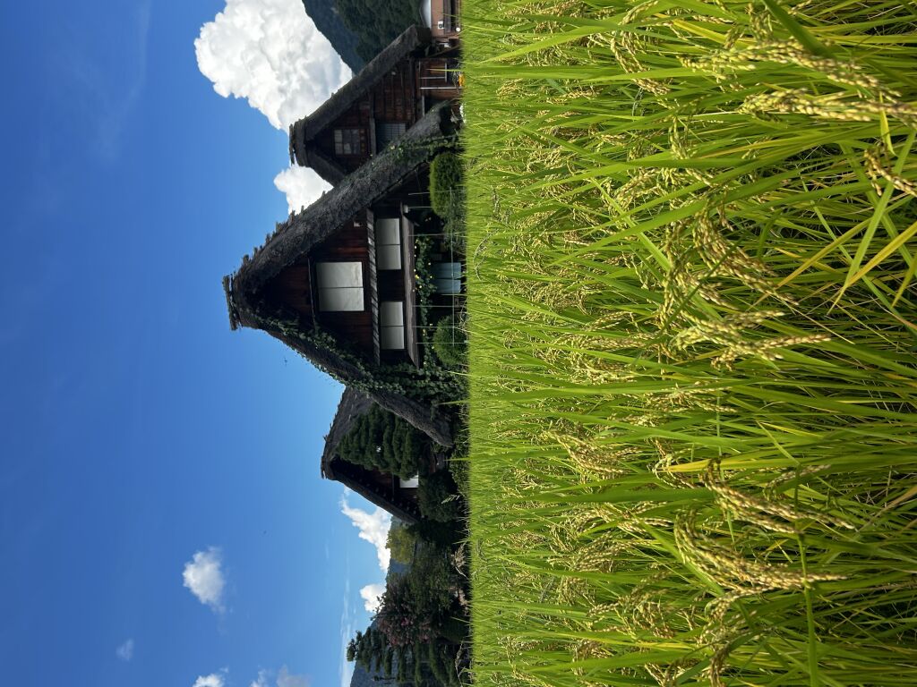 a0936330457
