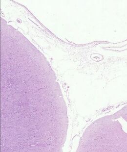 6a12faef96f94.jpg
