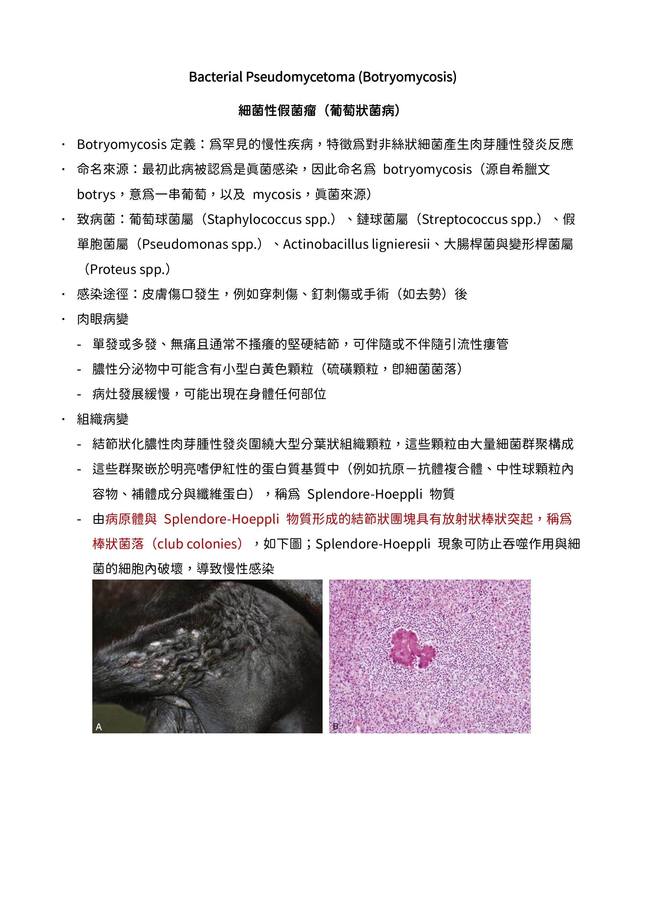 6a15aab140a49.jpg