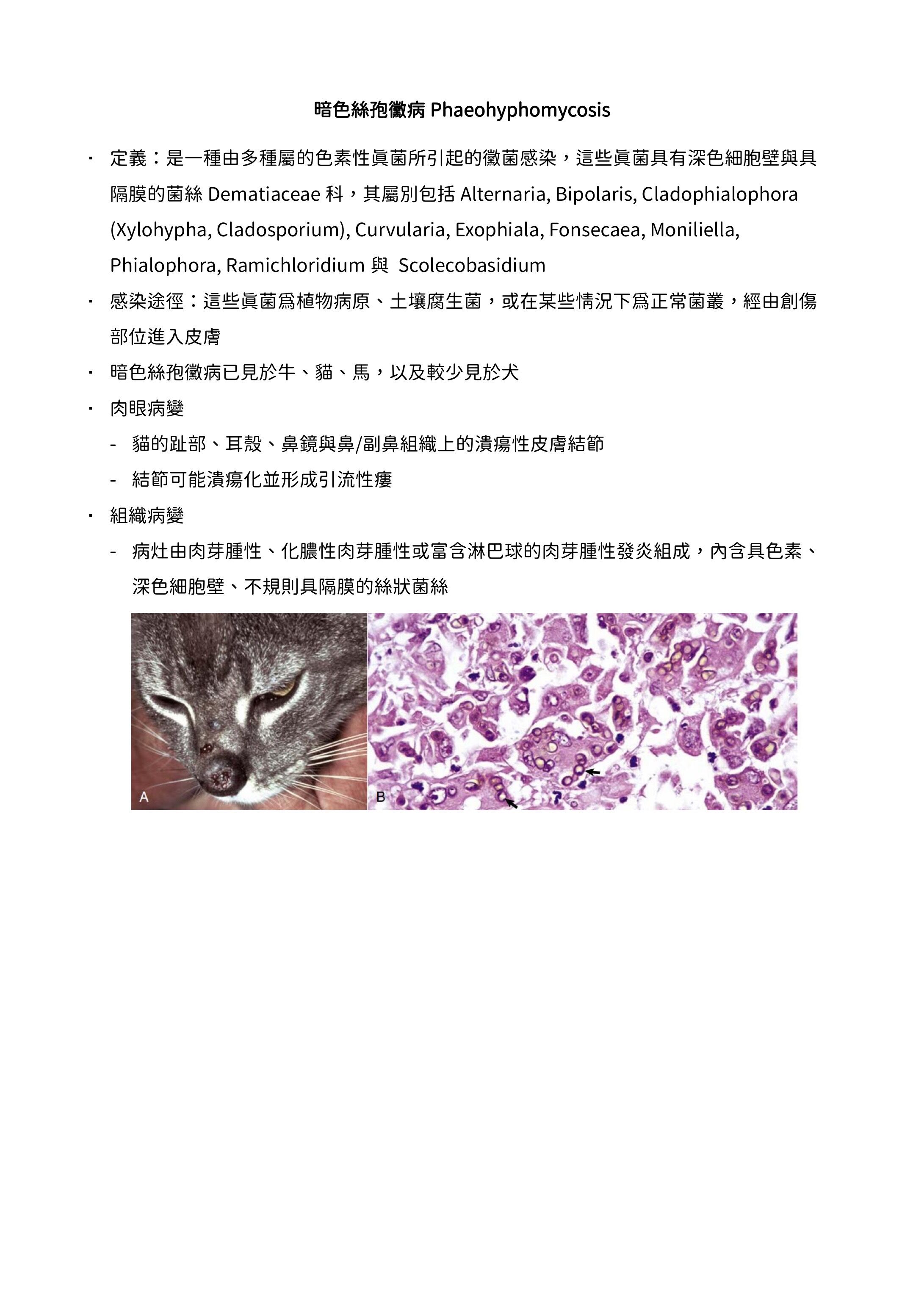 6a15aab8e4680.jpg