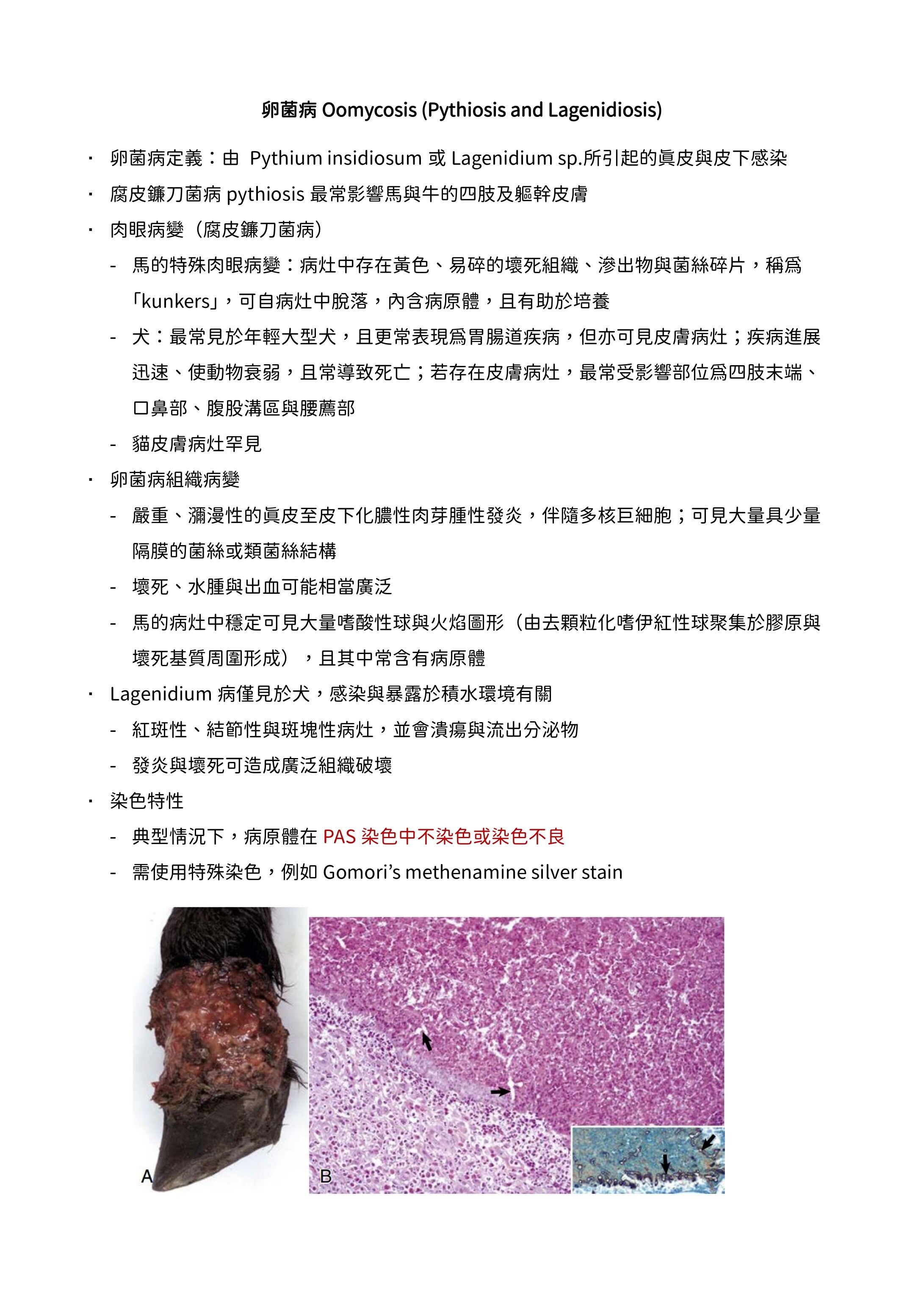 6a15aac4a7b16.jpg