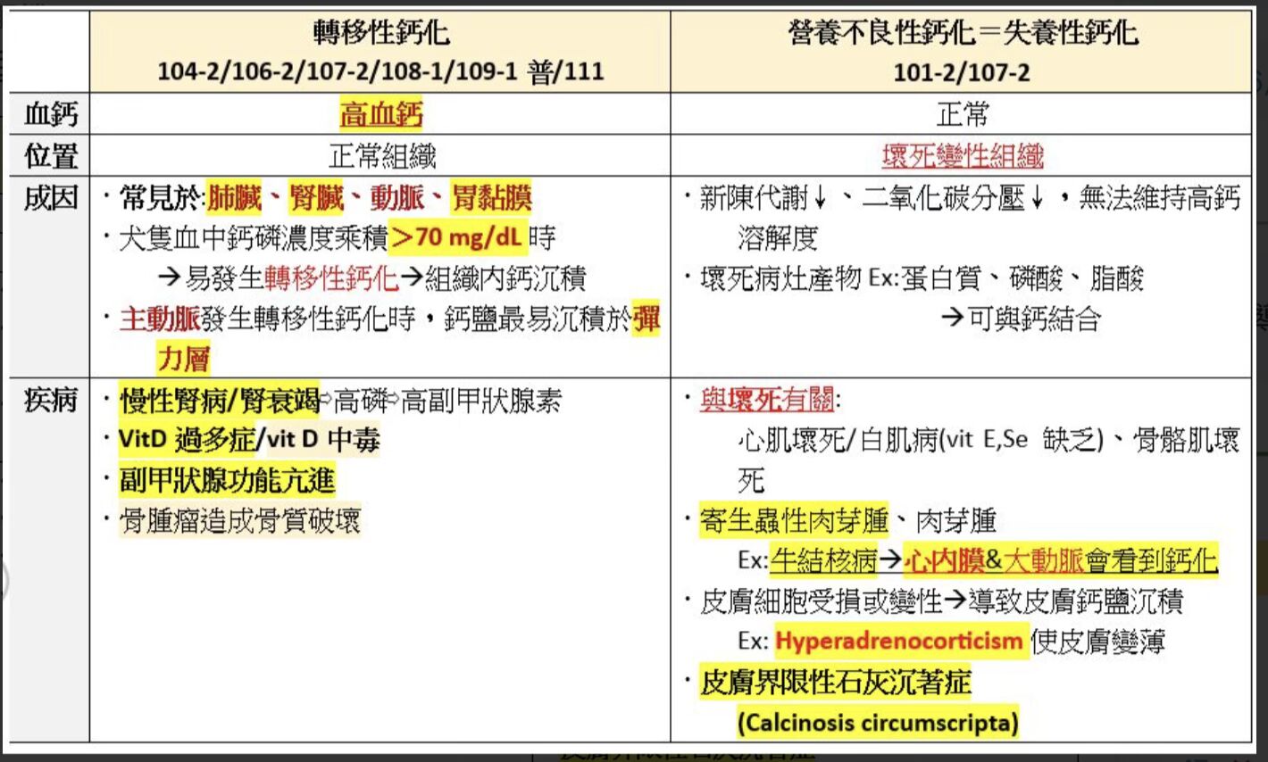 6a1ab3795935c.jpg