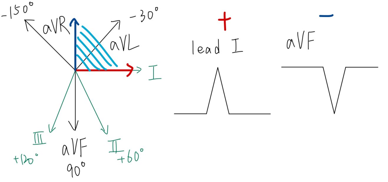 6a251ef41245b.jpg