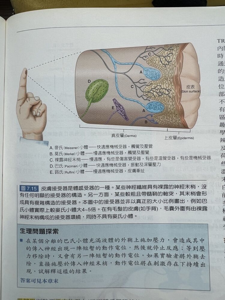 6a27cf43d9b8b.jpg