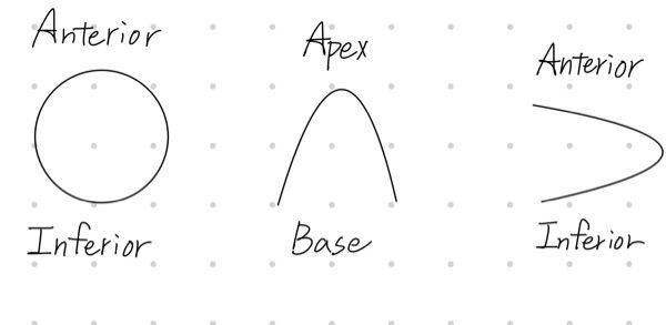 6a2b6d1accea0.jpg