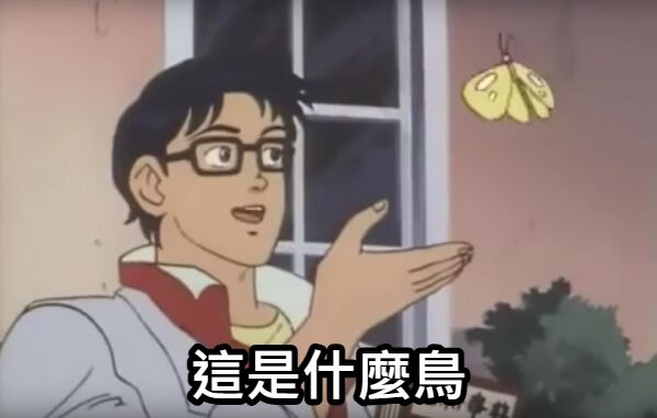 6a2b802887aaf.jpg