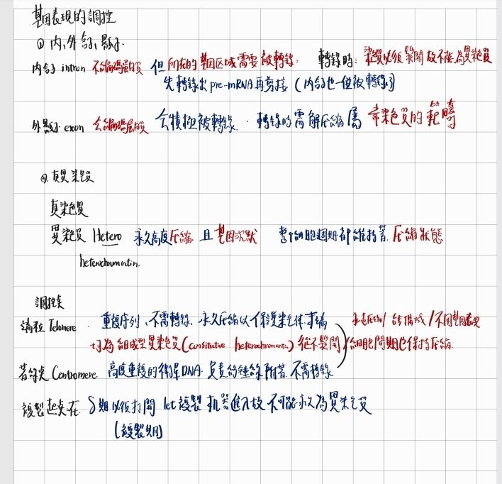 6a2b978b7e3af.jpg