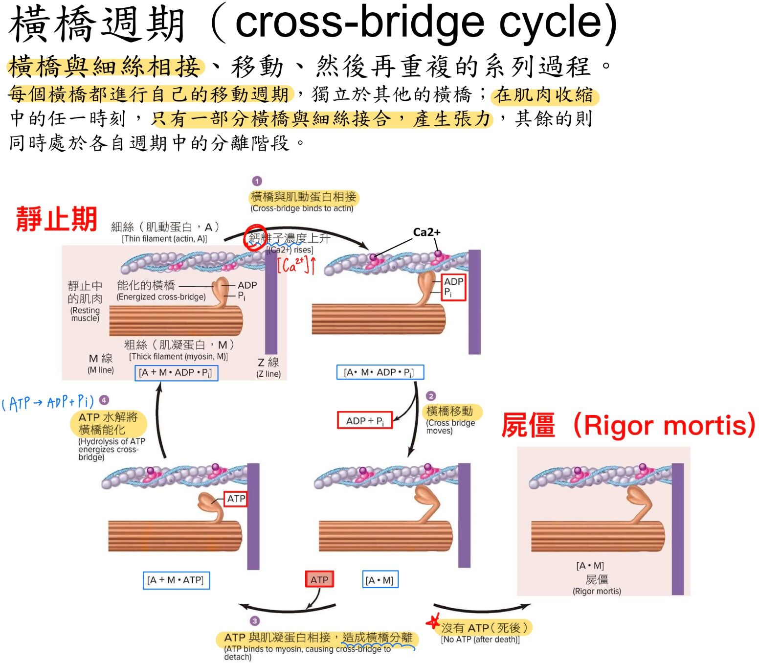 6a2c0bb74af57.jpg