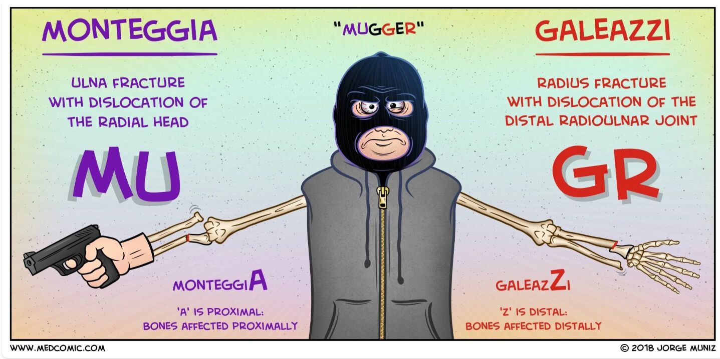 6a2d685dd15d9.jpg