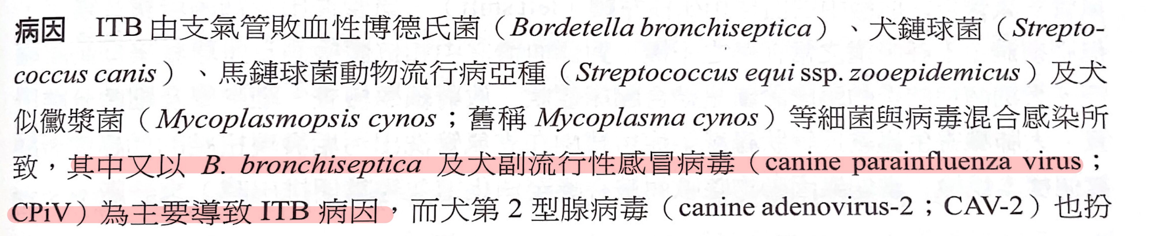 6a2e46d910236.jpg