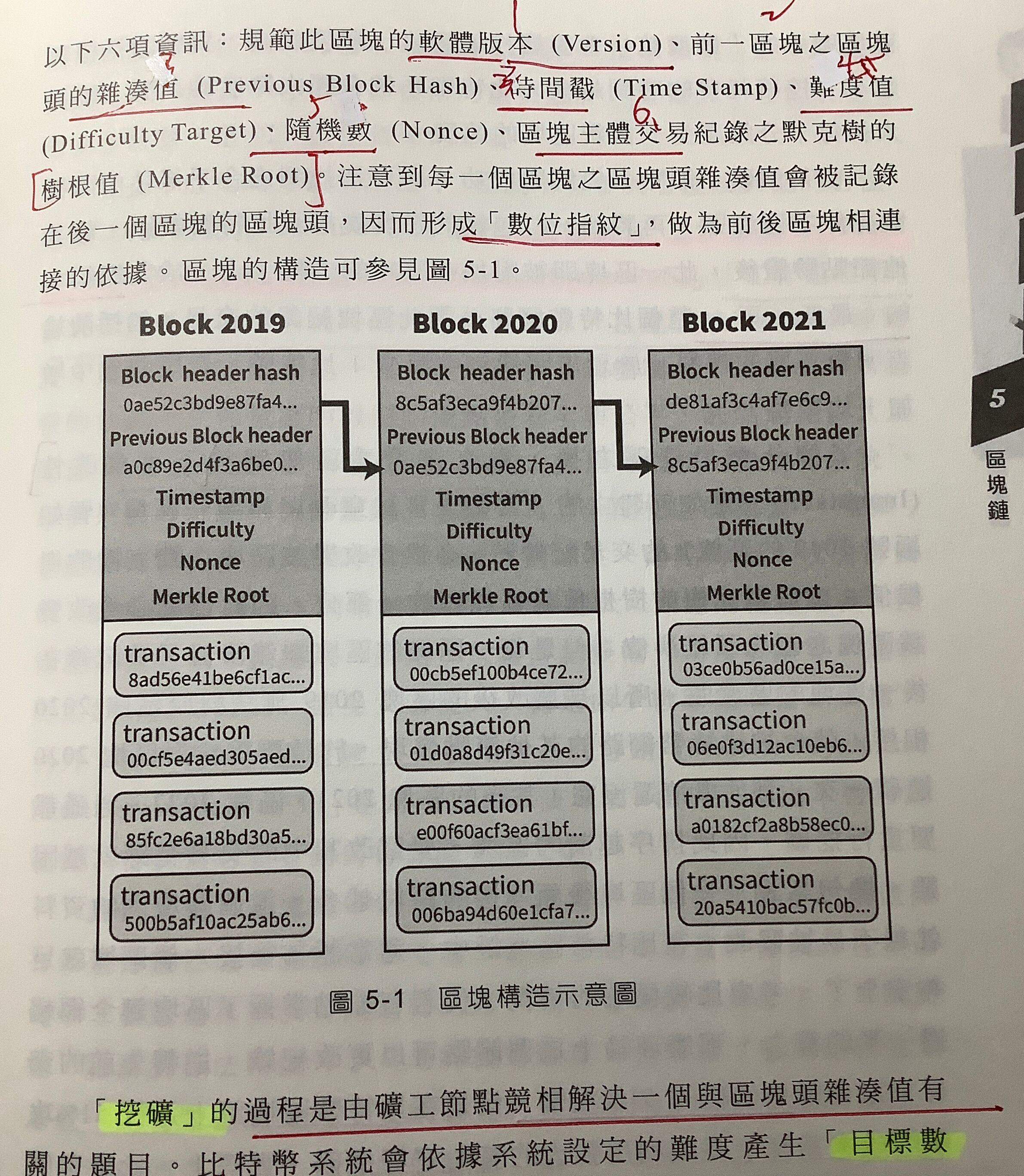 6a2e63f87425f.jpg