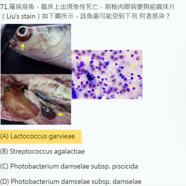 6a2e74d2cb377.jpg